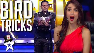 Magician Conjures BIRDS To The Stage on Indias Got Talent  Magicians Got Talent [upl. by Faustina]