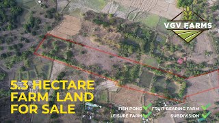 FARM LAND FOR SALE  SAPANG MARAGUL TARLAC CITY [upl. by Nylessoj680]