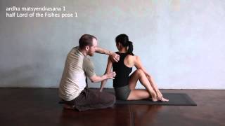 ardha matsyendrasana 1  Yoga Resource Practice Manual eBook video library [upl. by Vernita]