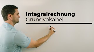 Integralrechnung Grundvokabel Hauptsatz Flächenberechnung  Mathe by Daniel Jung [upl. by Ennayehc]