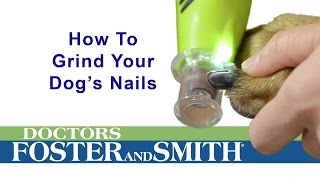 How to Grind Your Dogs Nails DrsFosterSmith [upl. by Zaccaria746]