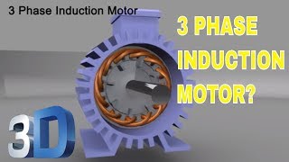 3 Phase Induction Motor [upl. by Enamrahc118]