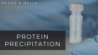 Protein Precipitation UPDATED [upl. by Aneerb977]