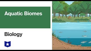 Aquatic Biomes  Biology [upl. by Shargel]