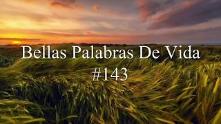 Bellas Palabras De Vida  Himno Bautista 143 [upl. by Nylle]