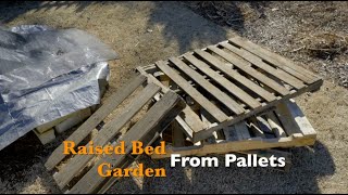 Raised Bed Garden from Pallets [upl. by Audra]