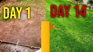 Watering new grass seed day 1 7 14  4 Week Time Lapse [upl. by Luana]