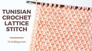 Tunisian Crochet Lattice Stitch  How To BEGINNER STITCH PATTERN  TUTORIAL [upl. by Cheria215]