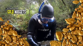 Finding Gold NUGGETS in rivers of Tasmania [upl. by Eniamej116]