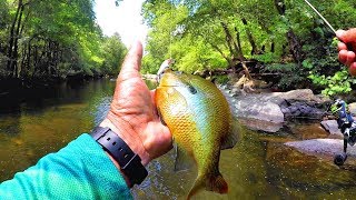 The BEST Lures For Creek Fishing Multiple Species [upl. by Ynnal]