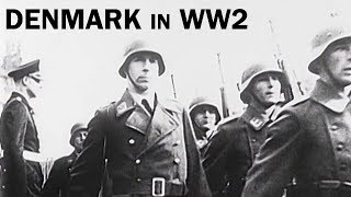 Denmark in World War 2  The Danish Resistance  Documentary Short  1944 [upl. by Agnese943]