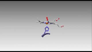 Hemoglobin Conformational Change [upl. by Sholes]