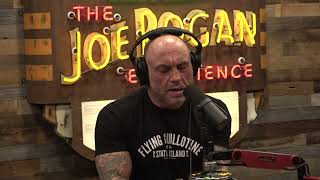 Joe Rogan Experience 2008  Stephen C Meyer [upl. by Modie]