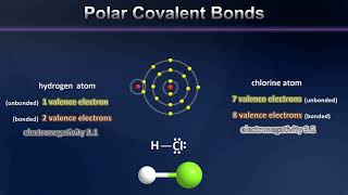 A Brief Introduction to Polar Covalent Bonding [upl. by Thadeus]