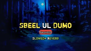 Sabeel ud dumo  سبیل الدموع  Nasheed  Muhammad Al Muqit [upl. by Rodrique]