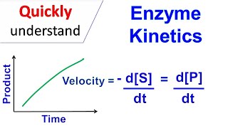 Enzyme kinetics [upl. by Valma]