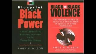 Amos N Wilson  Africans in the New World Order [upl. by Quince]