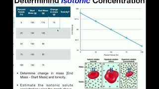 Determine the Isotonic Concentration for a Cell in Solution [upl. by Perrin816]