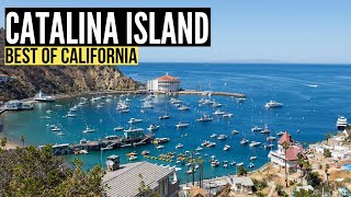 Things To Do in CATALINA ISLAND California Travel Guide amp Vlog [upl. by Zehcnas271]