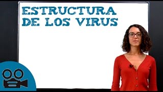 Estructura de los virus [upl. by Noteloc]