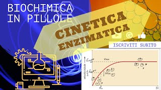 Cinetica enzimatica di Micaelis e Menten [upl. by Rawna]