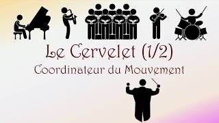 Neurofacile 5  Le Cervelet 12 [upl. by Cordle]