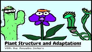 OLD VIDEO Plant Structure and Adaptations [upl. by Eelatsyrc]