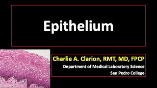 Epithelium [upl. by Aihsa]