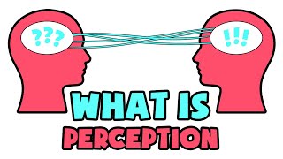 What is Perception  Explained in 2 min [upl. by Sineray580]