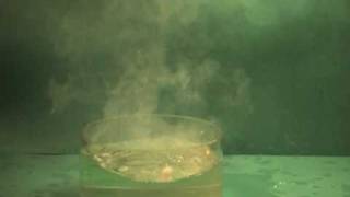 C01 Reaction of Caesium and Water [upl. by Akenihs]