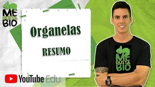 Organelas  Resumo Professor Gustavo [upl. by Einehpets]