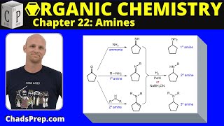 224e Synthesis of Amines Reductive Amination [upl. by Latini502]