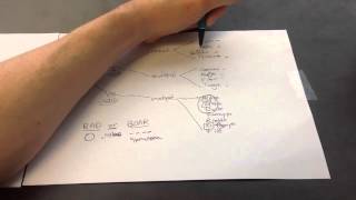 DNA and RNA Viruses Mnemonic for USMLE Step 1 [upl. by Nerok]