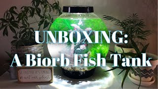 Unboxing A Biorb Fish Tank [upl. by Nodnarbal]