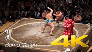 Sumo Match  Tokyo  相撲 [upl. by Sherri970]