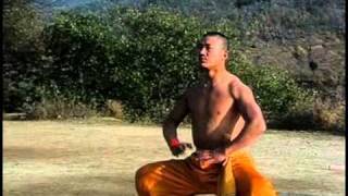 Shaolin warrior training [upl. by Spear]