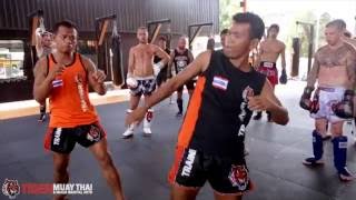 10 Muay Thai Techniques [upl. by Edelson207]