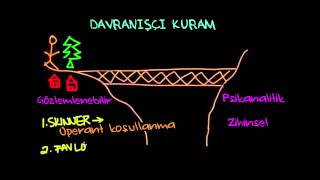 Davranışçı Kuram Psikoloji  Davranış [upl. by Tammi32]