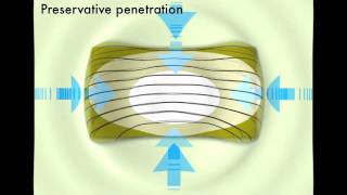 What is Pressure Treated Timber [upl. by Tilly]