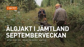 Älgjakt i Jämtland  Septemberveckan [upl. by Adym750]