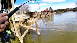 How To MAKE Crappie Bite Crappie Fishing With A Jig [upl. by Apicella872]