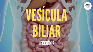 9 LA VESÍCULA BILIAR ESTRUCTURA Y FUNCIÓN DEL SISTEMA DIGESTIVO [upl. by Ardisi205]