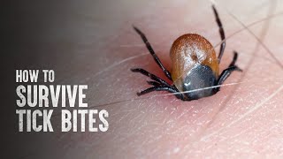 How to Survive Tick Bites [upl. by Wylma]