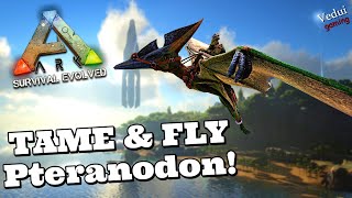 ARK  EASY steps to Tame and Fly the Pteranodon  TIPS Vedui42 ✔️ [upl. by Nirrok586]