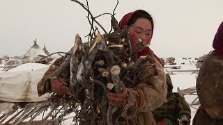 Experiencing Nenet Life On The Frozen Tundra  Tribe With Bruce Parry  BBC [upl. by Diamante]