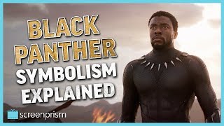 Black Panther Symbolism Explained [upl. by Norod]