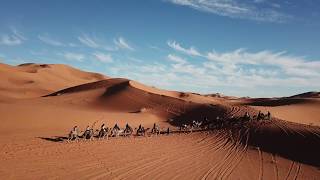 Camel Ride into the Sahara Desert [upl. by Hcelemile]