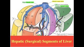 Renal or Kidney CystsSymptomsCauseTreatment [upl. by Yanarp531]