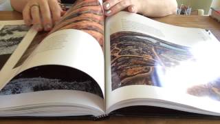 ASMR slow page turning through books with glossy pages [upl. by Zenia892]