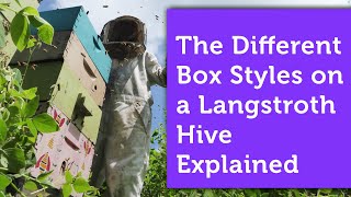 The Boxes of a Langstroth Hive Explained [upl. by Yennek]